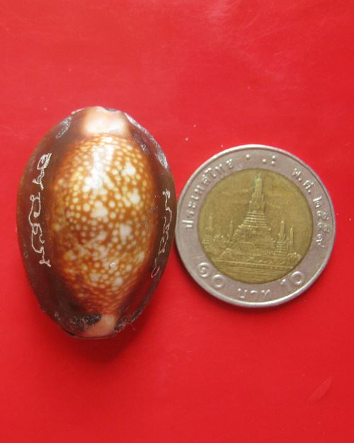 เบี้ยแก้ อุดผงพรายกุมารคลุกรักชันโรง พิธีในโบสถ์ วัดละหารไร่ หลวงปู่บัว ปลุกเสก ปี 54 ฉลองครบ ๒๐๐ ปี