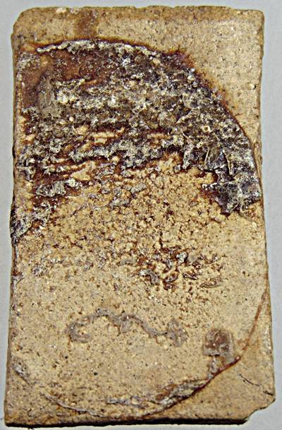 พระผงวัดเกาะกลอย จ.ระยอง ปี 2514 พิมพ์สมเด็จ (หลวงปู่ทิม เสก)