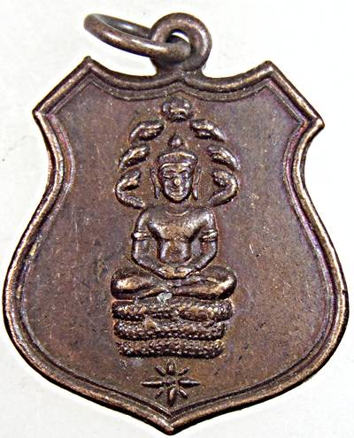 ๒๐ เหรียญพระนาคปรก ปี ๑๙