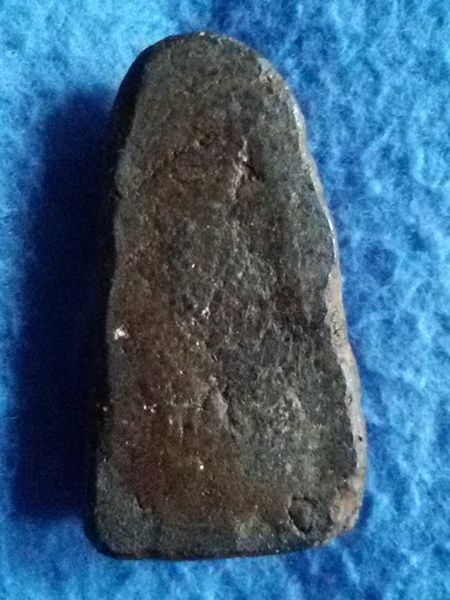 พระหลวงปู่ทวด วัดม่วง กรุงเทพฯ พ.ศ. 2505 เนื้อว่าน