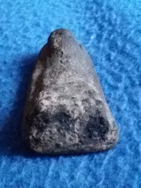 พระหลวงปู่ทวด วัดม่วง กรุงเทพฯ พ.ศ. 2505 เนื้อว่าน