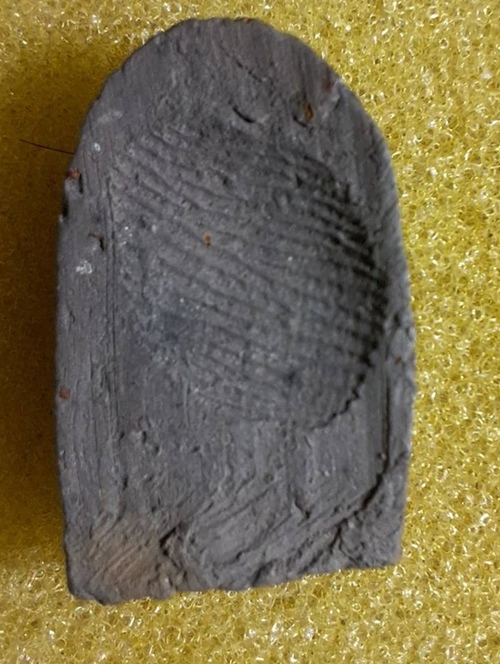 พระซุ้มกอหลวงพ่อพูล สาคโร วัดสังฆราชาวาส สิงห์บุรี