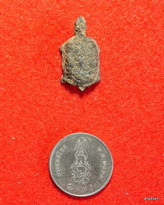 พญาเต่าเรือนมหาลาภ "เรียกทรัพย์" หลวงปู่ทรัพย์ วัดตลุก ปี 2520 จ.ชัยนาท