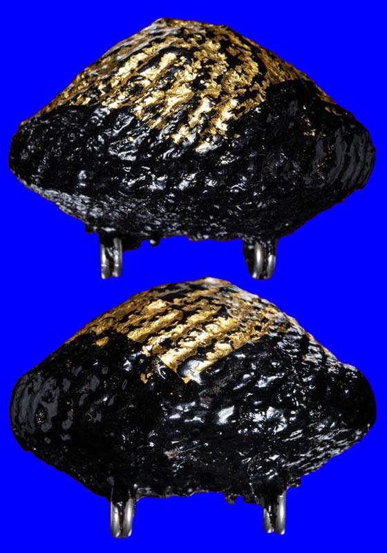 เบี้ยแก้ห่วงสแตนเลส หลวงปู่เจือ ปิยะสีโล วัดกลางบางแก้ว จ.นครปฐม