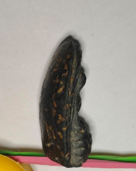 พระคง หลวงพ่อกวย พิมพ์เล็ก