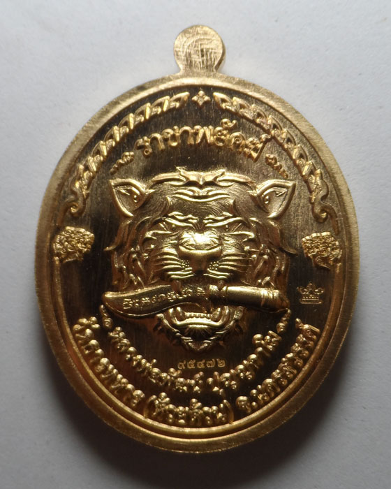 เหรียญราชาพยัคฆ์ หลวงพ่อพัฒน์ วัดห้วยด้วน จ.นครสวรรค์ 