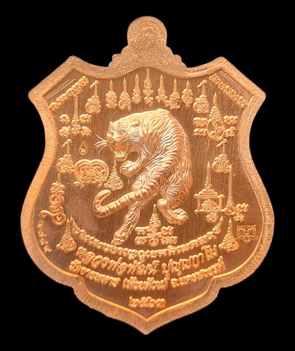 เคาะแรกแดง..พยัคฆ์เจ้าพระยา ๒๕๖๓..ทองแดงผิวไฟลงยาเขียว # ๖๗๘๙..ล.พ.พัฒน์ วัดห้วยด้วน จ.นครสวรรค์