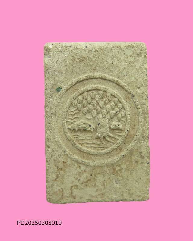 สมเด็จต้นโพธิ์ศรีมหาโพธิ์ จ.ปราจีนบุรี ปี 2503