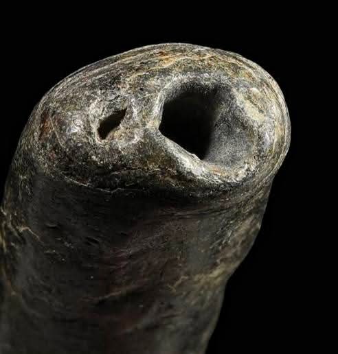 ตะกรุดโทน หลวงปู่ภู จันทโชติ วัดดอนรัก จ.อ่างทอง