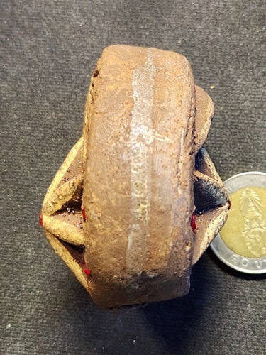 วัดสนมลาว สระบุรี ดาวไม้มงคล หลวงพ่อผินะ องค์ครู