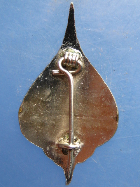 เข็มกลัด พระทีฆทัศสีมุณีวงศ์