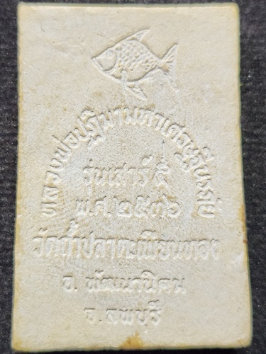 วัดถ้ำปลาตะเพียนทอง ลพบุรี พระผง หลวงพ่อปฎิมามหาเศรษฐี นวภัย หลวงพ่อทองคำ รุ่นเสาร์ 5   2536