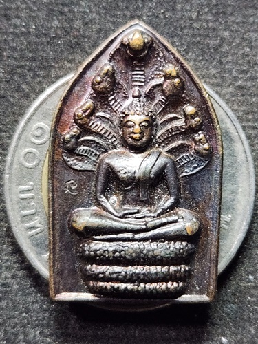 วัดเชิงท่า จ.ลพบุรี เหรียญ พระนาคปรก หลวงพ่อถม  อายุ 84 ปี รุ่นวาสนา ตอกโค๊ด "นะ"