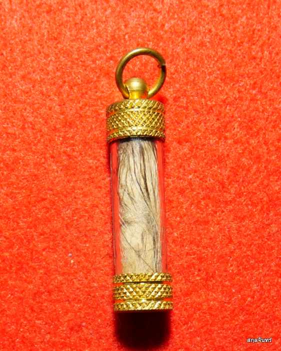 ตะกรุดหนังหน้าผากพญาเสือโคร่ง มหาอำนาจ สภาพสวยครับ