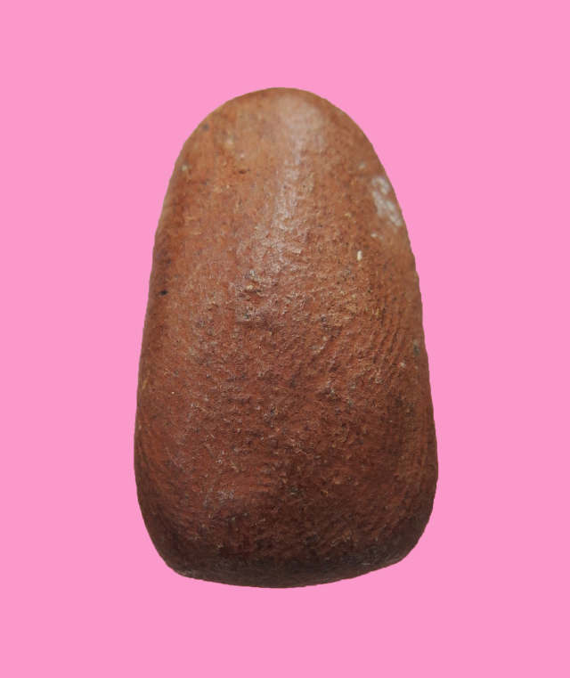 พระสาลีบุตร เนื้อดิน