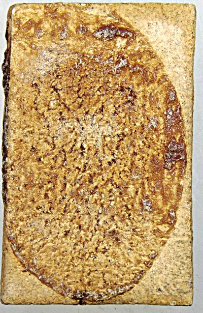 พระผงวัดเกาะกลอย จ.ระยอง ปี 2514 หลวงปู่ทิม วัดละหารไร่ ร่วมปลุกเสก