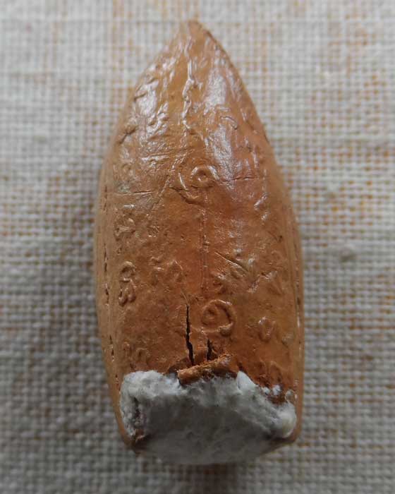 พระกริ่งคลองตะเคียน ย้อนยุค (ไม่ทราบที่)