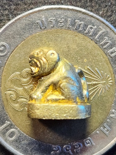 วัดเกริ่นกฐิน ลพบุรี เสือจิ๋ว หลวงพ่อเพี้ยน  ตอกโค๊ต ว.ฐ ปี 2554 