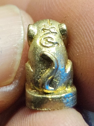 วัดเกริ่นกฐิน ลพบุรี เสือจิ๋ว หลวงพ่อเพี้ยน  ตอกโค๊ต ว.ฐ ปี 2554 