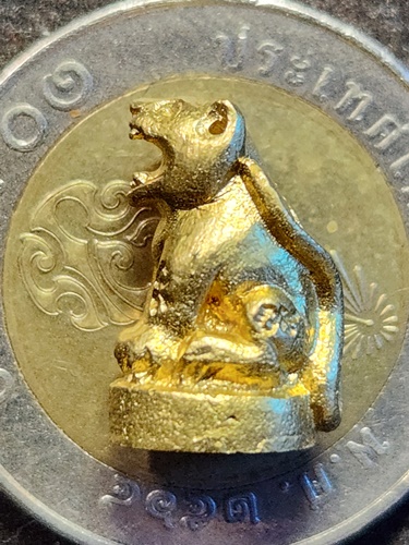 วัดเกริ่นกฐิน ลพบุรี เสือจิ๋ว หลวงพ่อเพี้ยน 