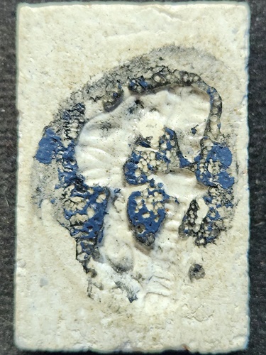 วัดสะพานสูง กทม สมเด็จมฤคทายวัน หลังลายเซ็นต์ อ.เชื้อ หนูเพชร  ปี 2507 เจ้าคุณนรฯ.อธิษฐานจิต