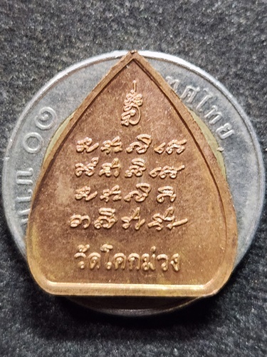 วัดโคกม่วง ต.กกโก อ.พัมนานิคม จ.ลพบุรี  เหรียญพระสิวลี 