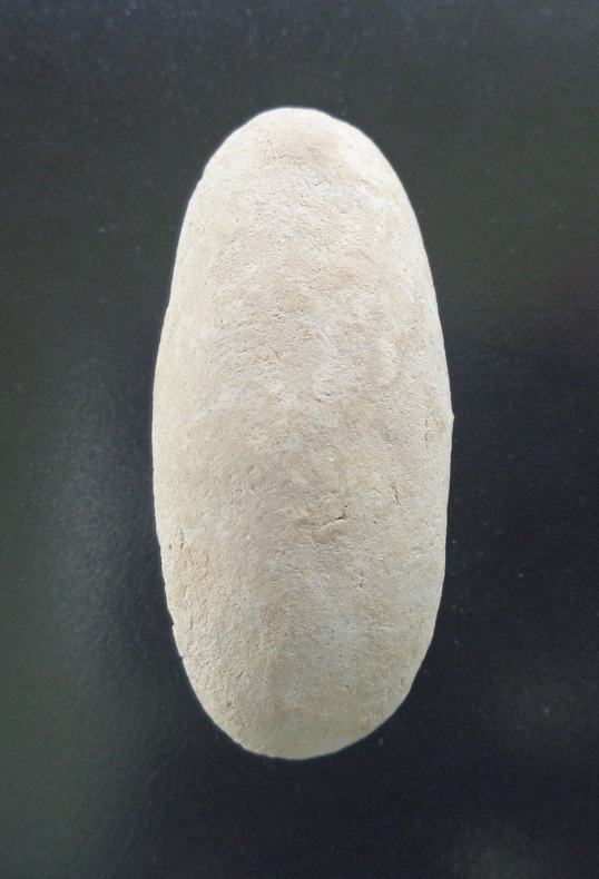 พระผงวัดพลับ พิมพ์วันทาเสมา ปี16 หลวงปู่โต๊ะร่วมพิธีปลุกเศก สวยครับ