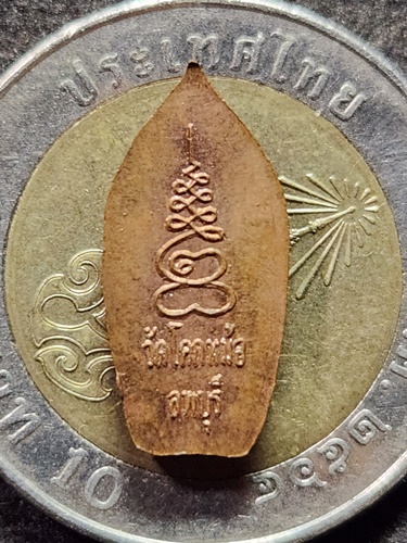 วัดโคกหม้อ ลพบุรี ปรกมะขาม หลวงพ่อพิเชฐ 