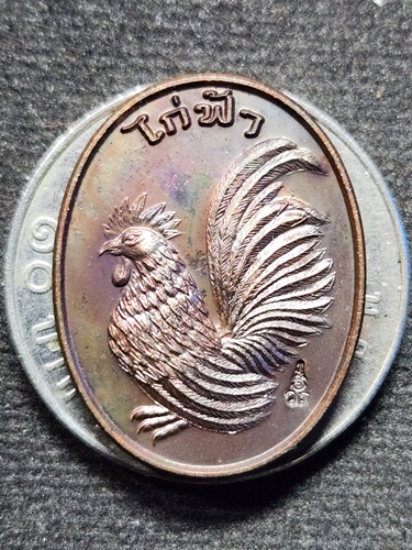 วัดถ้ำพรหมสวัสดิ์ จ.ลพบุรี  เหรียญ "ไก่ฟ้า รวยทวีคูณ" หลวงปู่สรวง พ.ศ. 2559