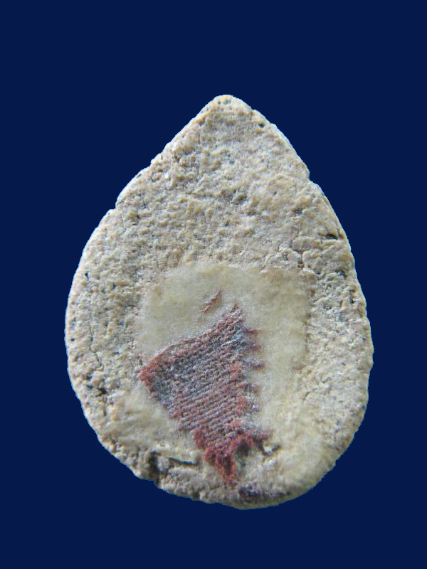 $ พระกลีบบัวหลังจีวร หลวงพ่อฤาษีลิงดำ วัดท่าซุง จ.อุทัยธานี เคาะเดียว ๒ องค์ครับ