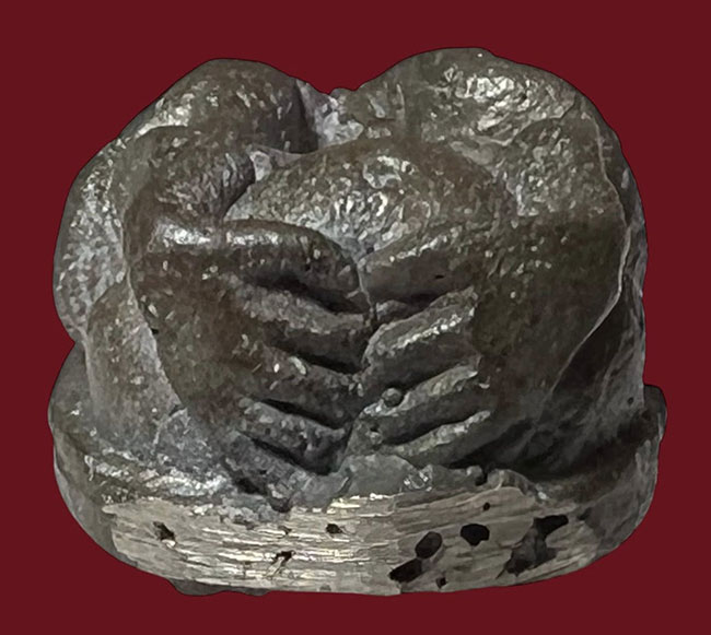 ปิดตาหล่อพิมพ์กบ เนื้อแก่เงิน หลวงพ่อสง่า วัดหนองม่วง ราชบุรี