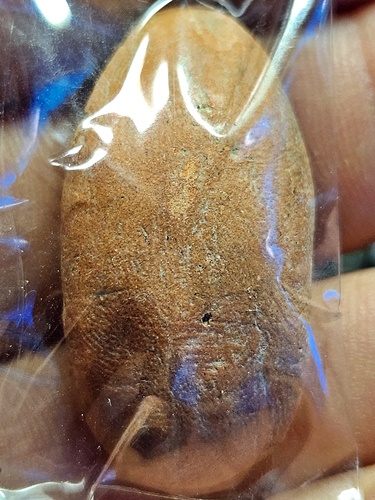 วัดพระรูป สุพรรณบุรี ขุนแผนไข่ผ่าซีก หลวงปู่ดี จัตตมโล  พ.ศ. 2513 