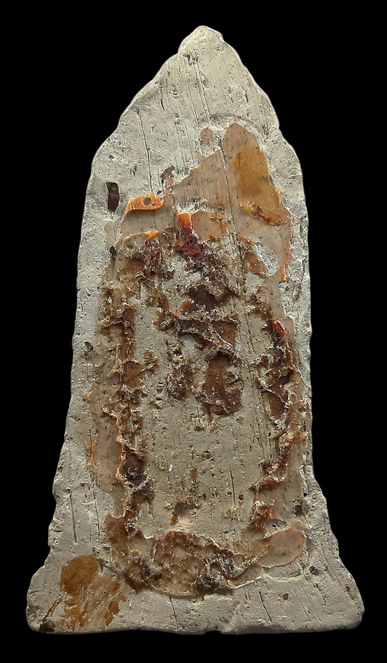 พระโคนสมอ ปางถวายเนตร เนื้อดินทาทอง 