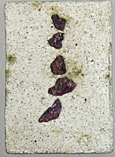 ๒๐ เทพภมรจำแลง ครูบากฤษณะ