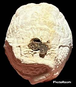 *ลูกอมหนุมานครองเมือง ผงพุทธคุณ รุ่นพูลสุข ปี๒๕๔๔ หลวงพ่อพูล วัดไผ่ล้อม นครปฐม*