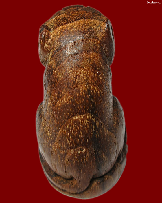 เสือไม้สักเรือหลวงพ่อปาน วัดมงคลโคธาวาส (วัดบางเหี้ย) ปี 2553 (เสาร์ 5) ครบรอบ 100 ปี