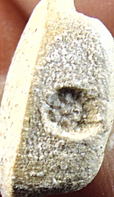 พระผงใบโพธิ์ท่านเจ้าคุณนร ฯ 