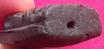 หลวงปู่ทวด เนื้อว่าน