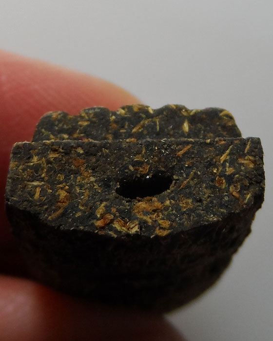 หลวงปู่ทวด รุ่นพยัคฆ์นิรันตราย หลวงพ่อสุพจน์ วัดห้วงพัฒนา จ.ตราด ปี๒๕๖๑