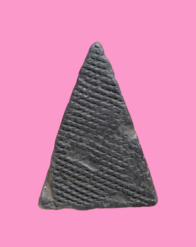 นางพญาหลังตะแกรง หลวงพ่อเทียม วัดกษัตราธิราช อยุธยา