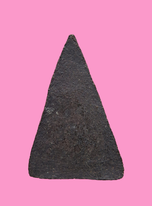 นางพญา เนื้อผงคลุกรัก