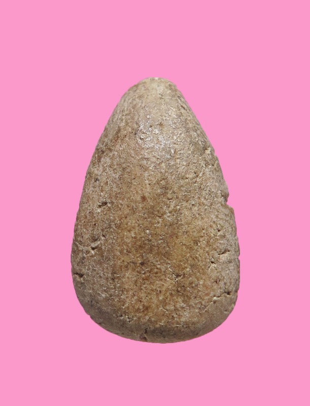 นางพญา เม็ดแตง