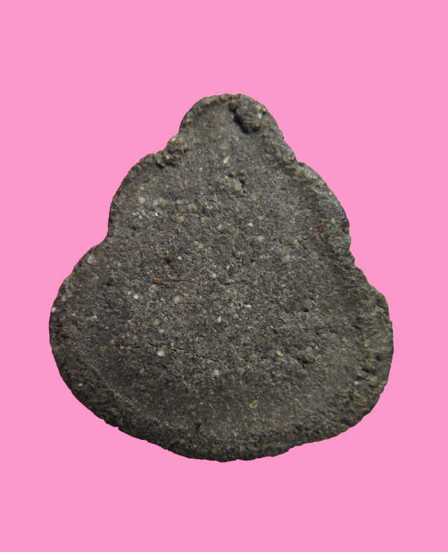 พระพิมพ์ใบสาเก เนื้อผงคลุกรัก