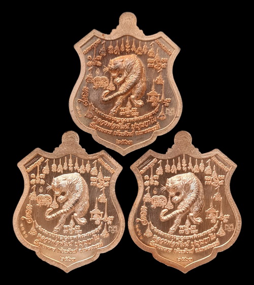 เคาะแรกแดง..พยัคฆ์เจ้าพระยา ๒๕๖๓..ทองแดงผิวไฟลงยา ๓ เหรียญ..ล.พ.พัฒน์ วัดห้วยด้วน จ.นครสวรรค์