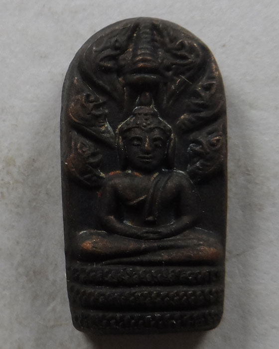 เหรียญพระปรกใบมะขามจตุรพิธ วัดรัตนชัย (จีน) จ.อยุธยา ปี๒๕๖๓