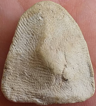 *ปิดตานักกล้าม พิมพ์หลวงปู่แก้ว วัดเคลือวัลย์ เนื้อขาว วัดประสาทบุญญาวาส กทม. ปี๒๕๐๖*