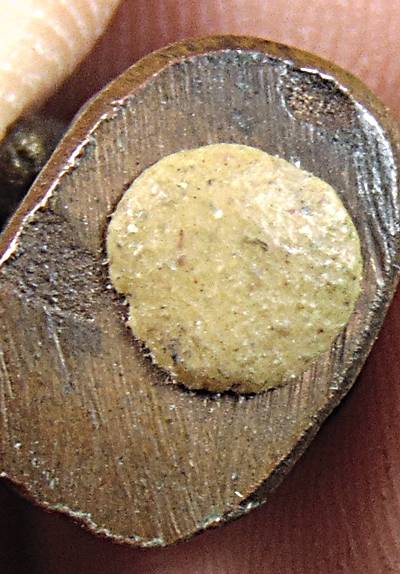 ลิงดูดรก เนื้อโลหะ