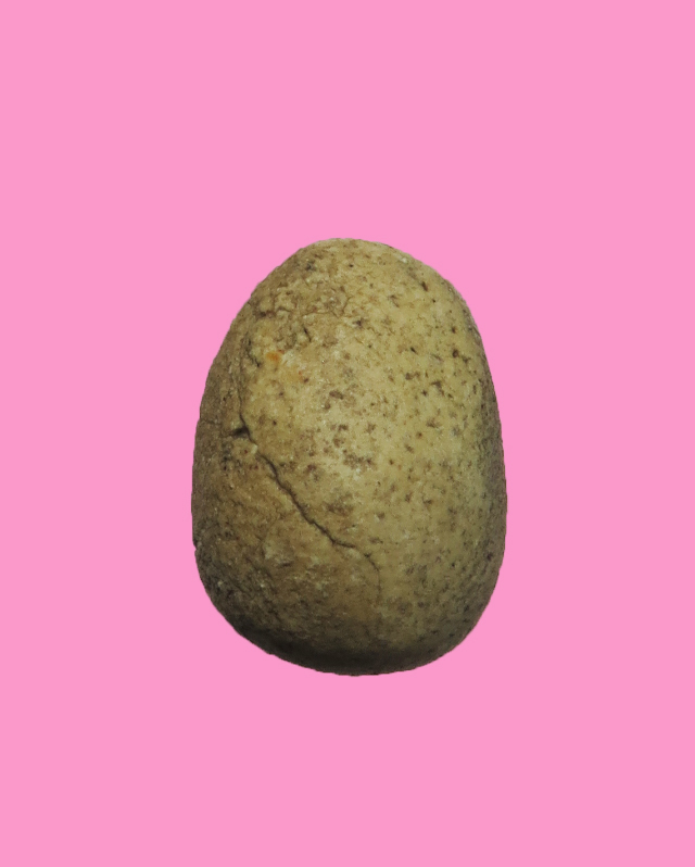 หลวงพ่อทอง วัดเขาตะเครา พิมพ์ไข่จิ้งจก หายาก