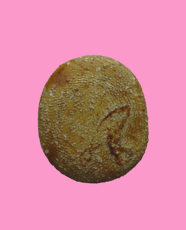 พระผงรูปเหมือน มีเกสา