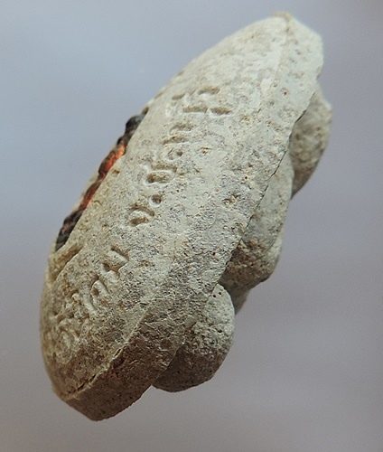 พระปิดตามหาลาภสารพัดดี หลวงพ่อคูณปริสุทโธ เนื้อเกสรหลังฝังปรก ออกวัดบ้านคลอง ปี2538